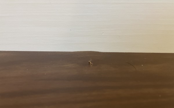 階段の補修（ビス打ち間違い）