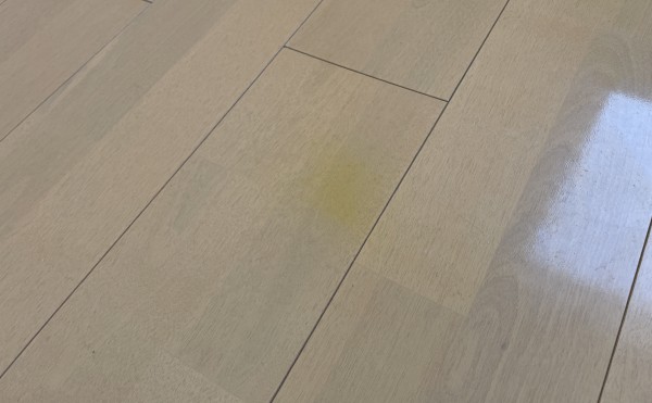 床シミ補修
